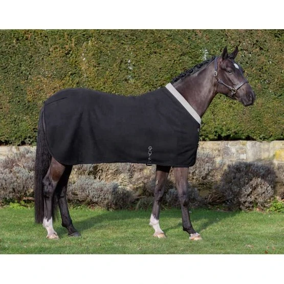 Lemieux Four Seasons Rug - Image 2