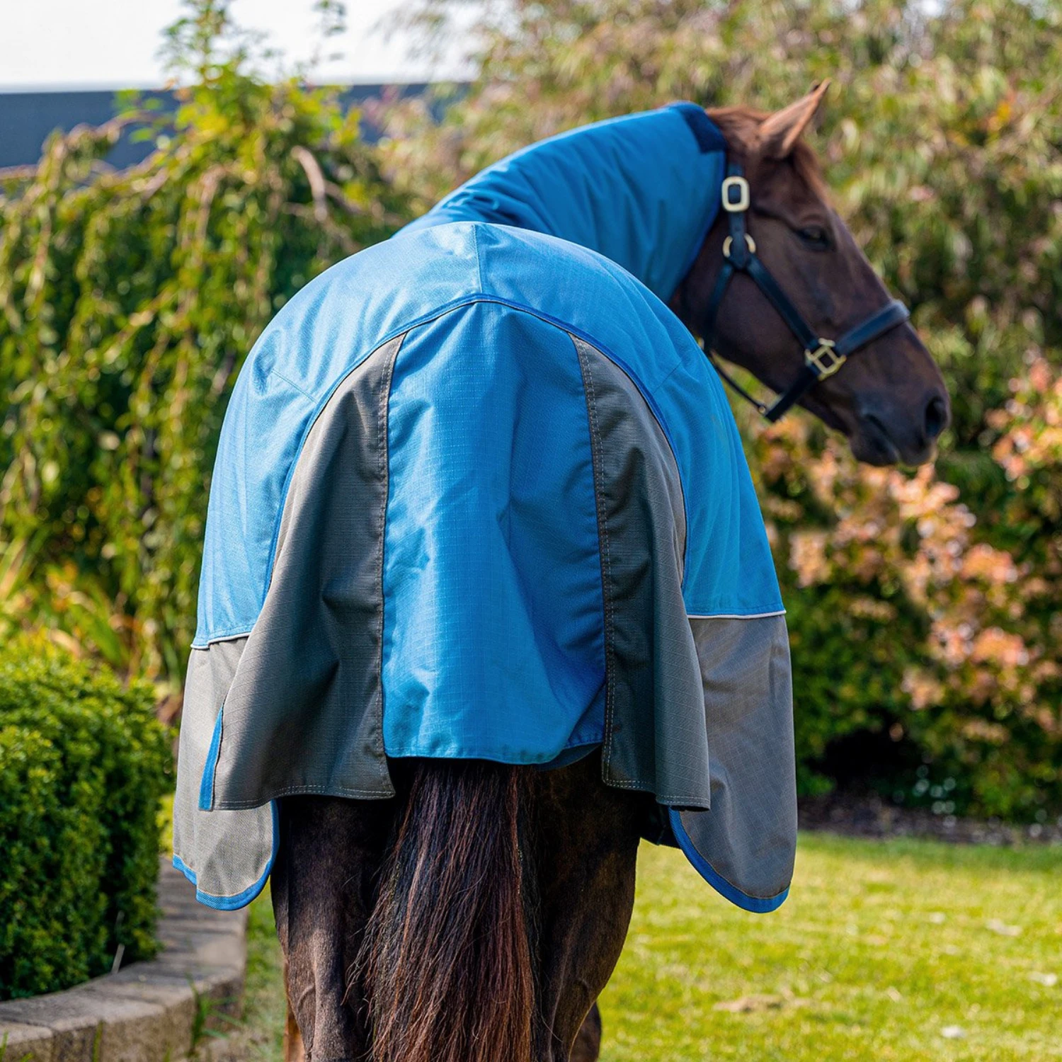 Eurohunter Kosciuszko II (Last Season) Elite Combo - Image 2