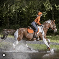 LeMieux Paprika Limited Edition Essential Saddlepads