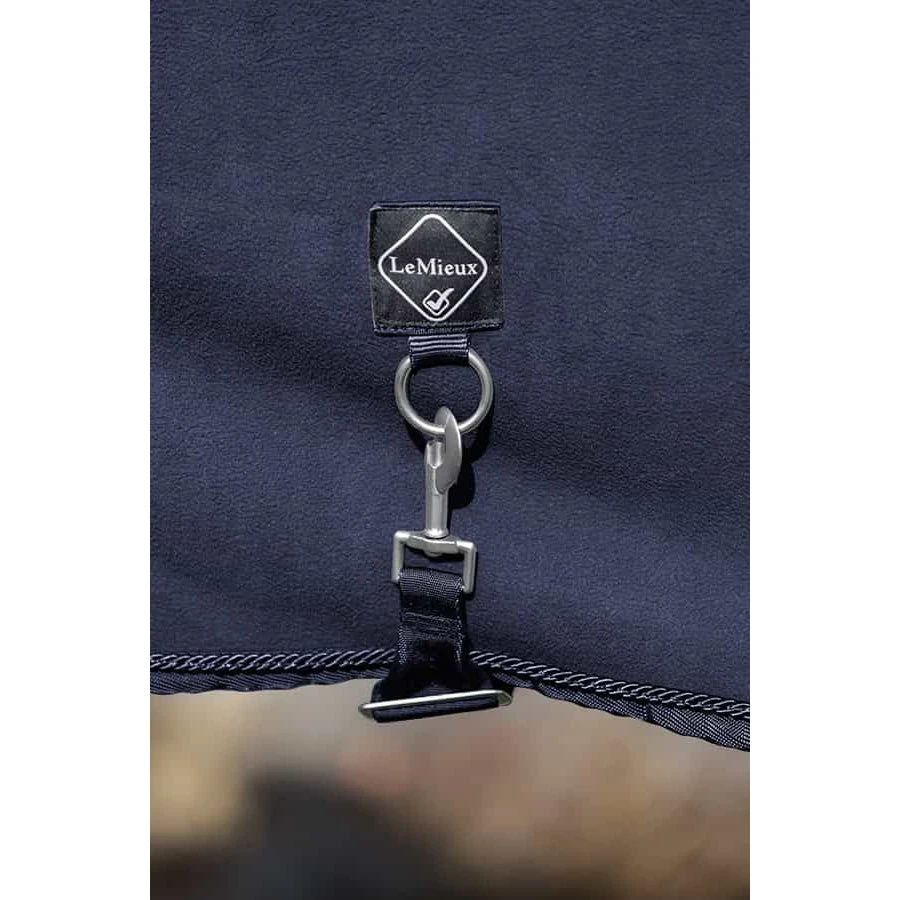 Lemieux Four Seasons Rug - Image 3