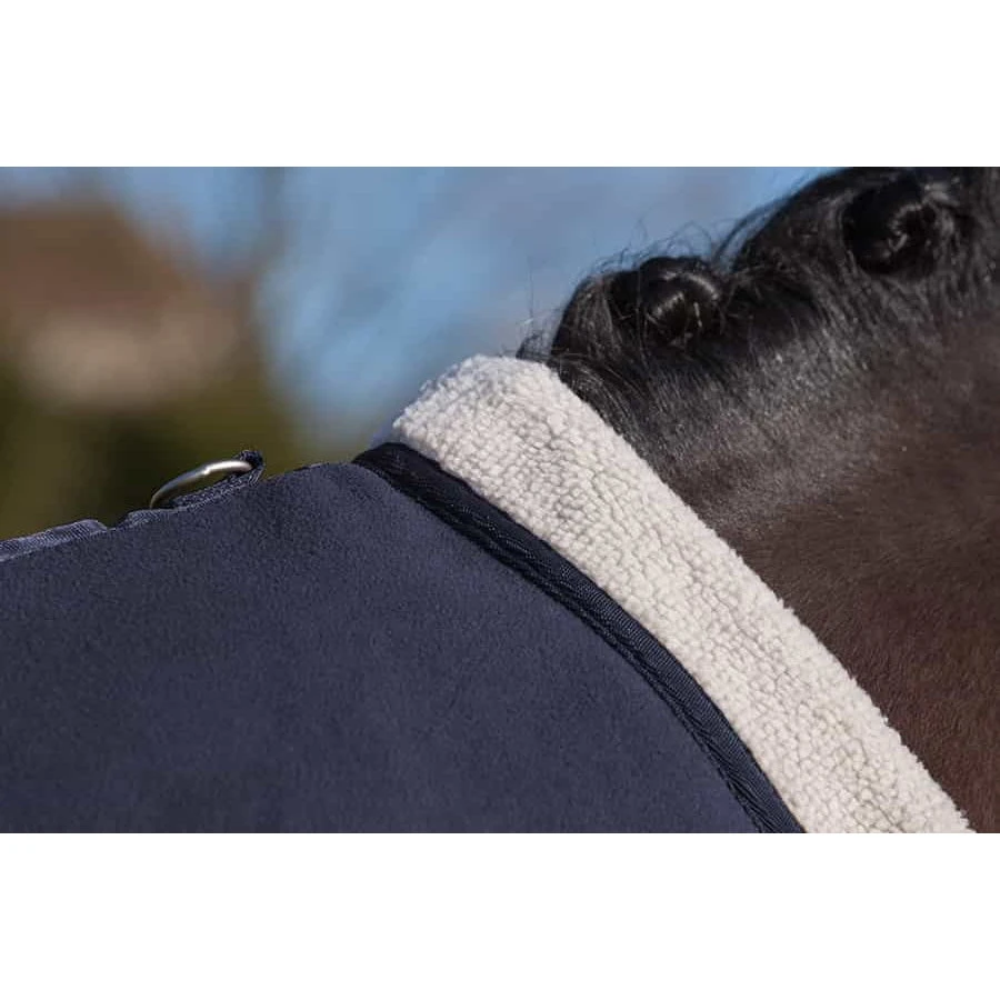 Lemieux Four Seasons Rug - Image 4