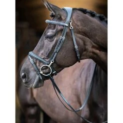 LeMieux Kudos Work Bridle