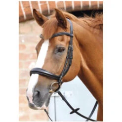 Premier EquineLambro Anatomic Bridle With Crank Noseband