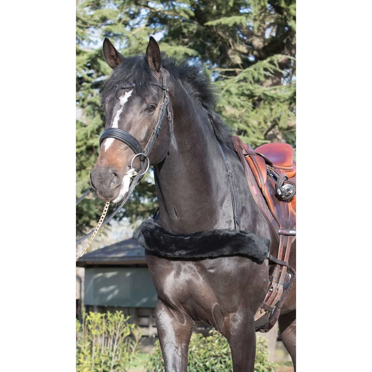 LeMieux Breastplate Cover - Image 3