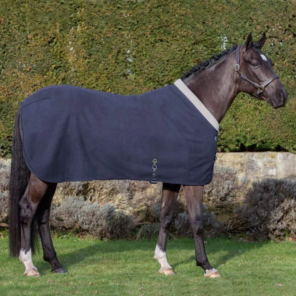 Lemieux Four Seasons Rug