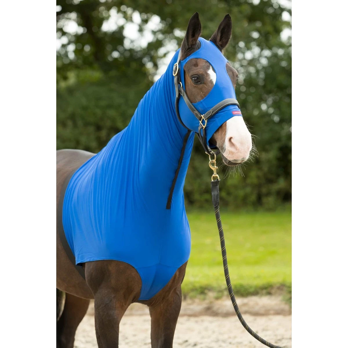 LeMieux Friction Free Lycra Hood - Image 2