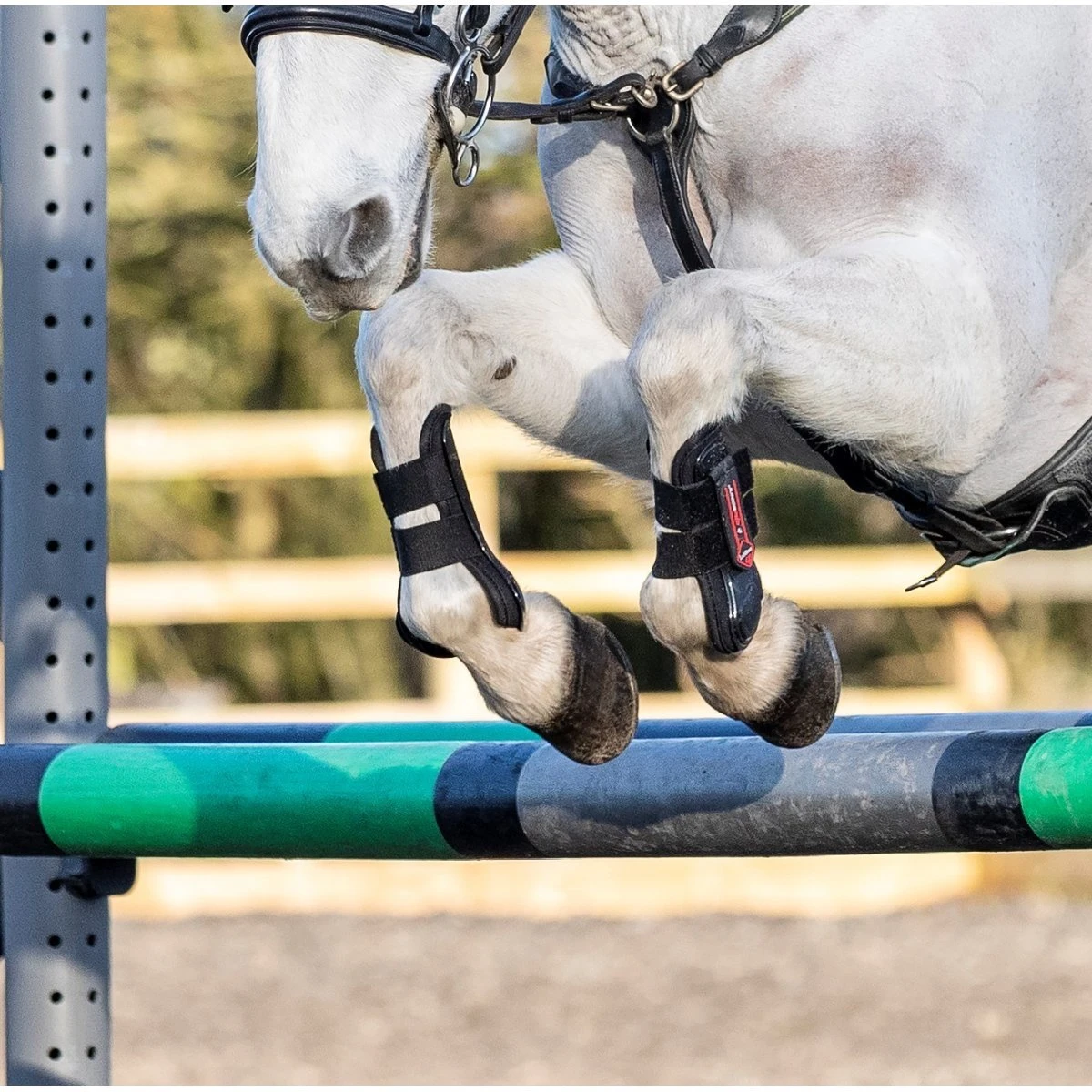 LeMieux Junior Pro Boots - Image 10