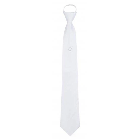 LeMieux Monsieur Competition Tie