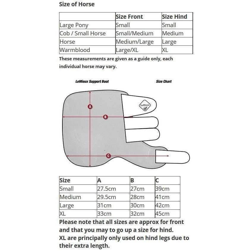 LeMieux ProSport Support Boot - Image 7