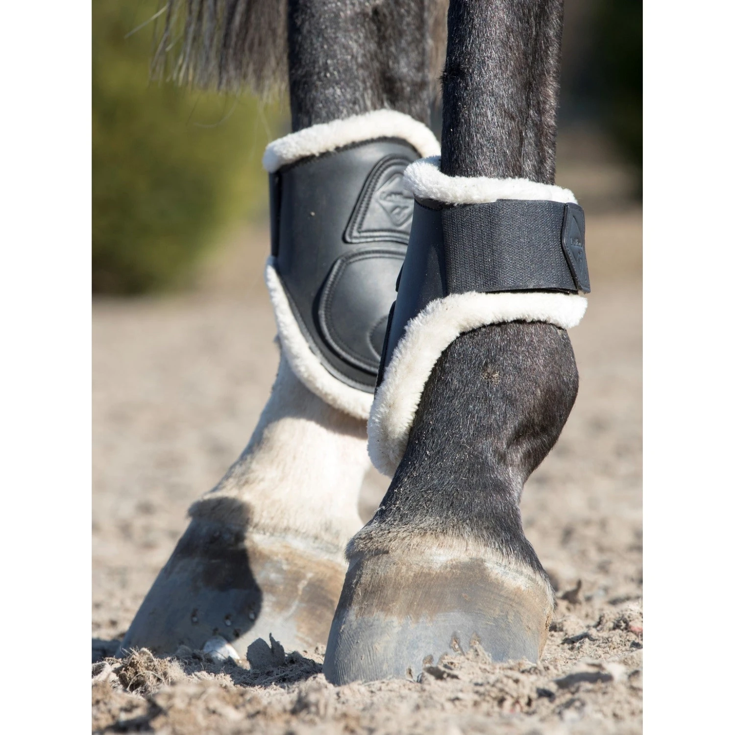 LeMieux Capella Comfort Jumping Boots - Image 7