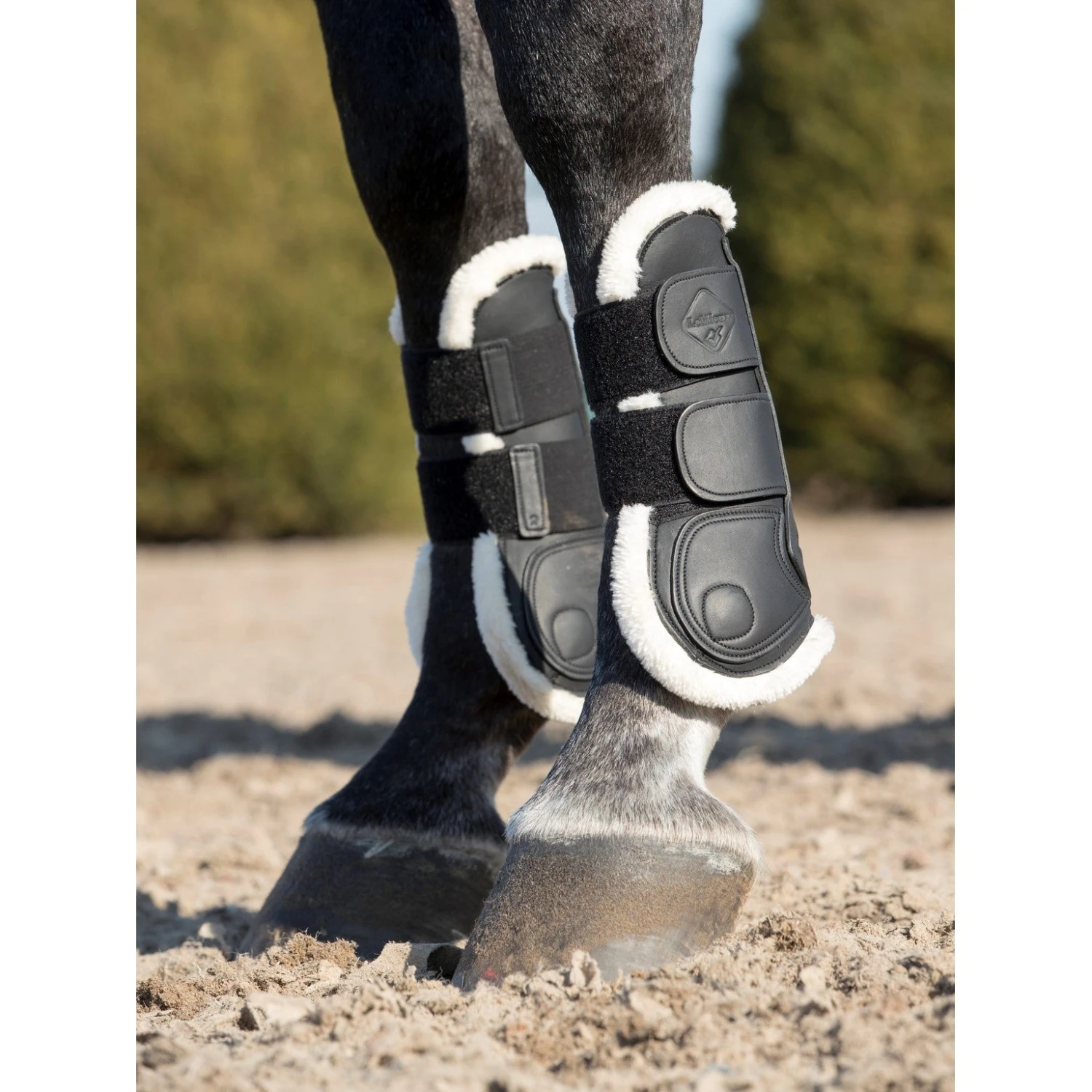 LeMieux Capella Comfort Jumping Boots - Image 2