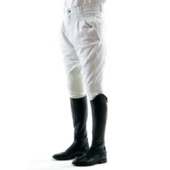 Premier Equine Benedict Mens Riding Breeches