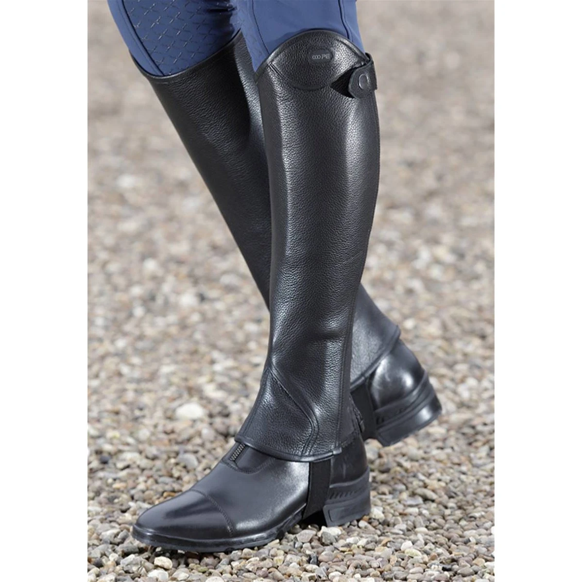 Premier Equine Lexaria Leather Half Chaps - Image 2