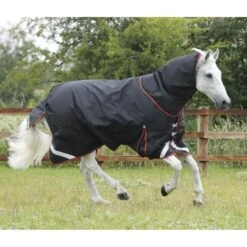 Premier Equine Titan 450g Turnout Rug With Detachable Neck